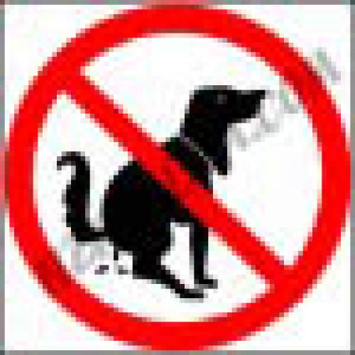 Förbud mot hundbajs dekal 295x295 mm
