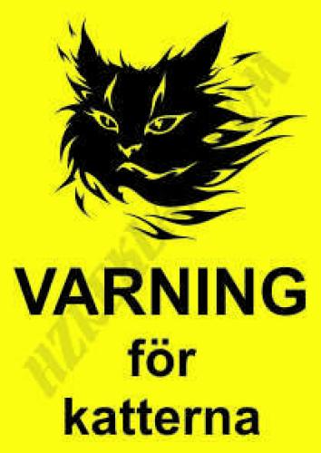 Varning för katterna dekal 104x147 mm